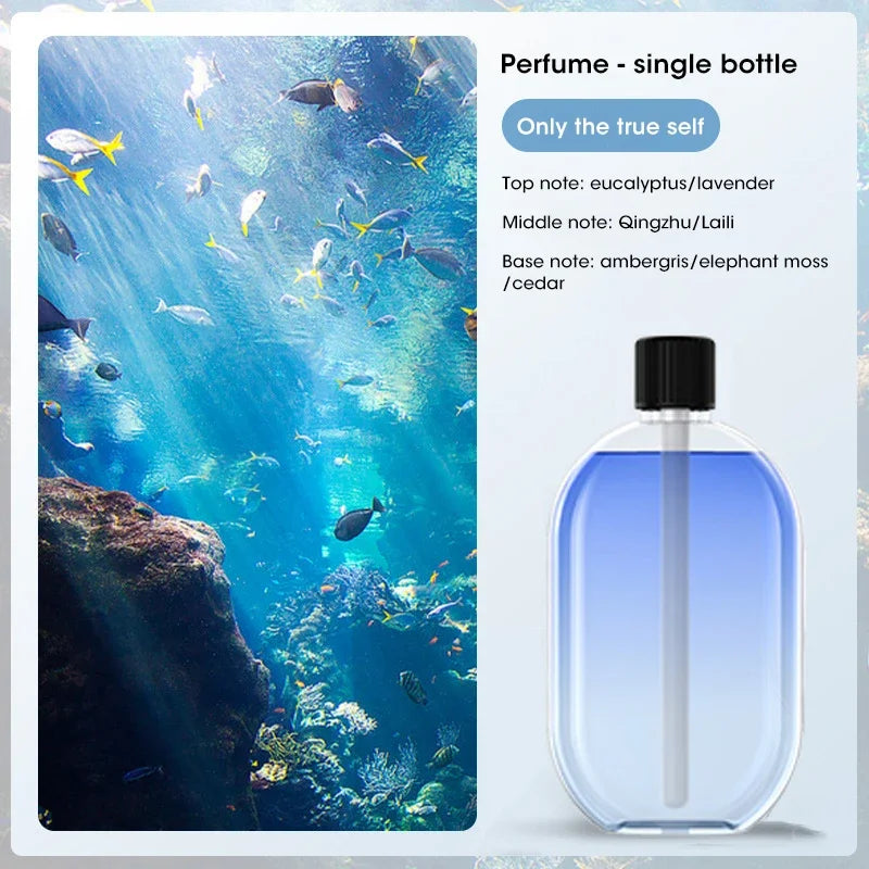 Automatic Home Fragrance Diffuser Machine